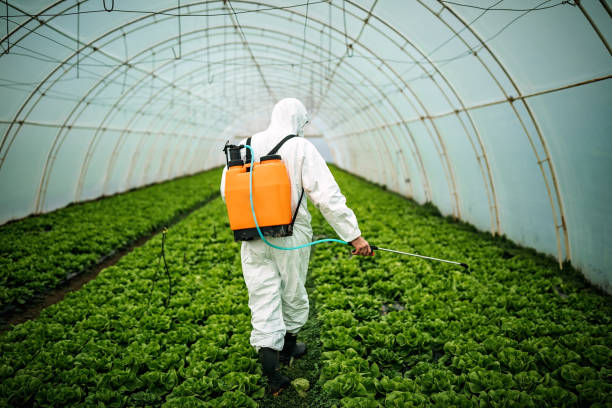 Best Best Pest Control Companies  in Air Force Academy, CO