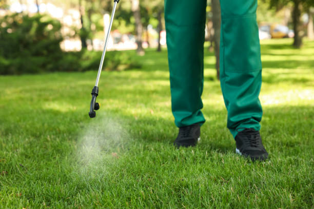 Best Wasp Removal Services  in Air Force Academy, CO