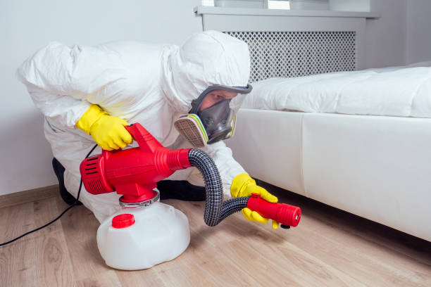 Best Best Pest Control Companies  in Air Force Academy, CO