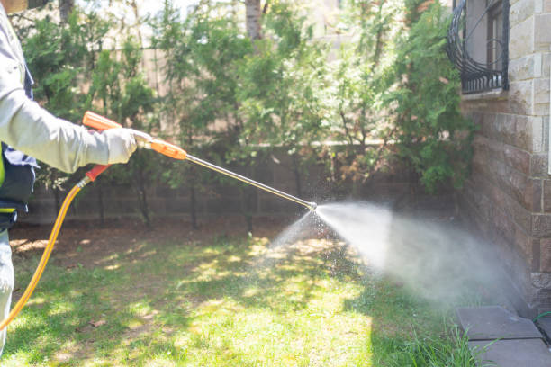 Best Rat Extermination Near Me  in Air Force Academy, CO