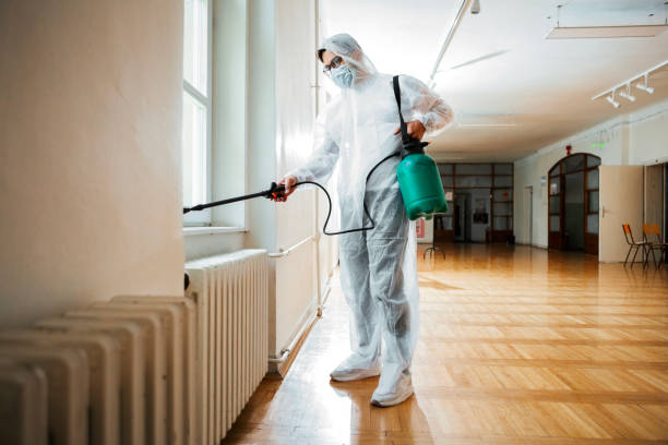 Best Pest Control Near Me  in Air Force Academy, CO