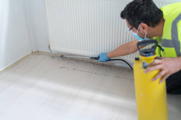 Best Best Pest Control Companies  in Air Force Academy, CO